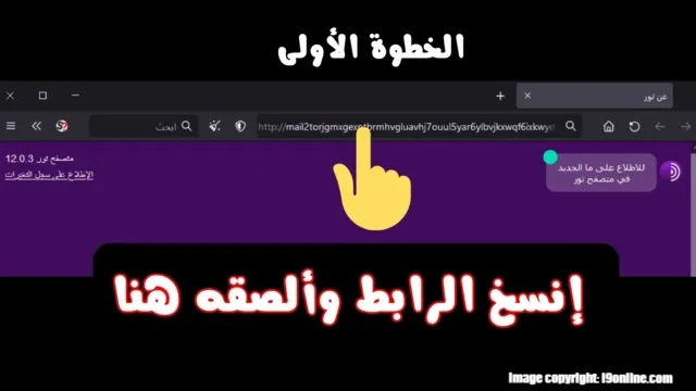 متصفح تور جاهز للوصول إلى خدمات الدارك ويب