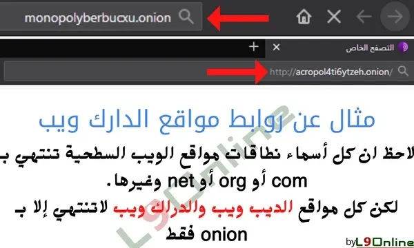 رسم بياني يوضح تقسيم الإنترنت إلى سطحي، عميق، ومظلم