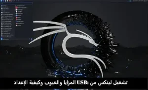 تشغيل لينكس من USB: المزايا والعيوب وطريقة الإعداد للمبتدئين